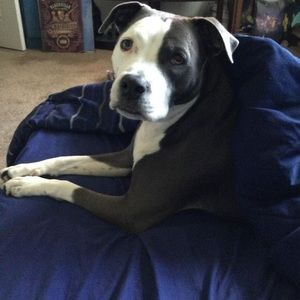 Meet your Posher, Teresa